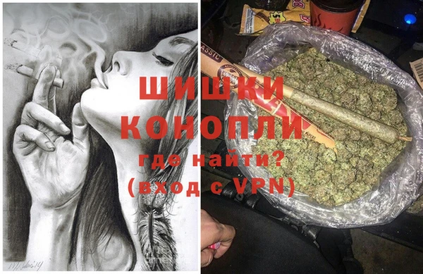 стаф Аркадак