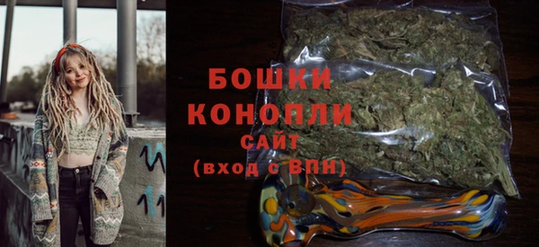 стаф Аркадак