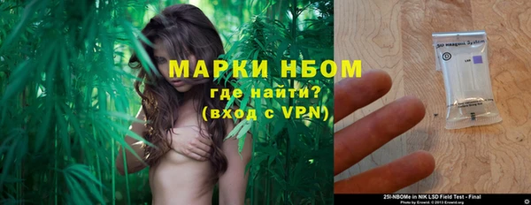 стаф Аркадак